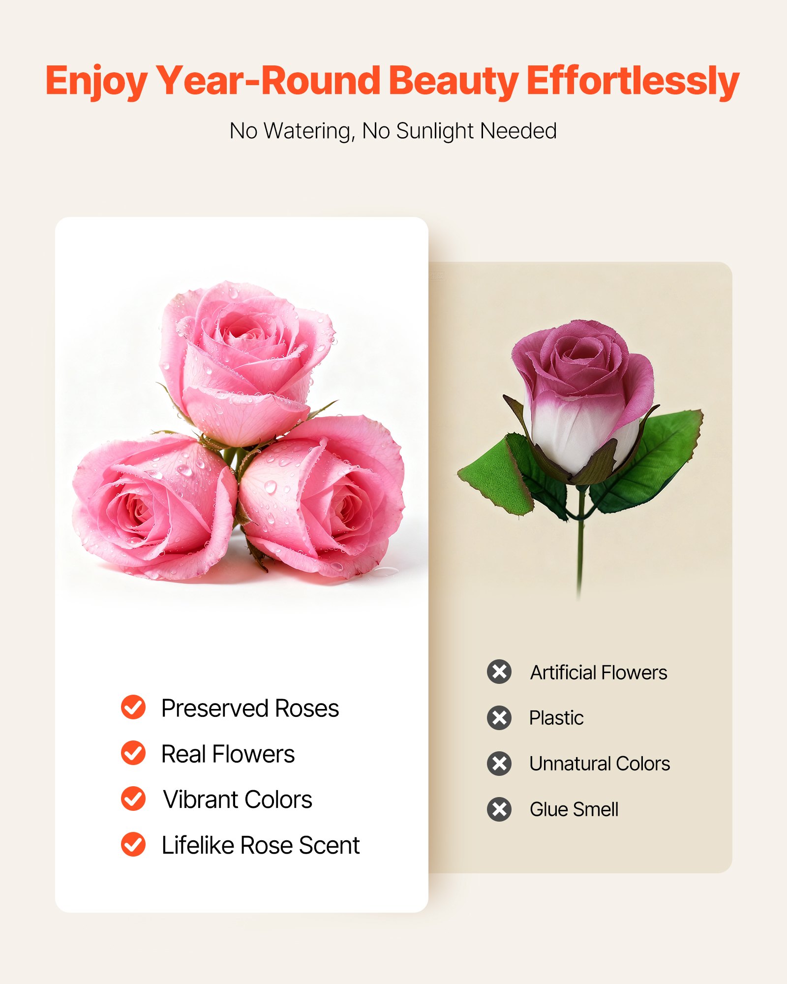 VEVOR Forever Flowers, 50 Preserved Roses in a Box, Eternal Flowers Immortal Bouquet Birthday Present for Delivery Prime Women Her Wife Mothers, Anniversary, Valentine's Day,Christmas, Sweet Pink