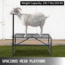 VEVOR Livestock Stand 51x23 inches, Trimming Stand with Straight Head Piece, Goat Trimming Stand Metal Frame Sheep Shearing Stand Livestock Trimming Stands