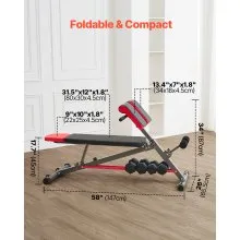 Roman Chair Back Extension Hyperextension Bench Multi-Function Adjustable Gym