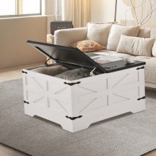 31.5" Farmhouse Coffee Table Hinged Square Table with Storage Gray & White