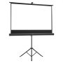 VEVOR Projector Screen with Stand, 60 Inch 160° Wide Angle Indoor Outdoor Projection Screen, 16:9 4K HD Wrinkleless Portable Tripod Screens with Carry Bag, for Movie Home Theater Office Presentation
