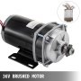 Brushed Motor Go Kart Electric Go Kart Motor 650w 36v Dc Motor W/speed Reduction