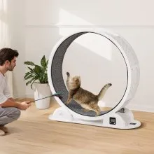 VEVOR Cat Exercise Wheel with Pedometer 40.8" Cat Treadmill for Pet Health White