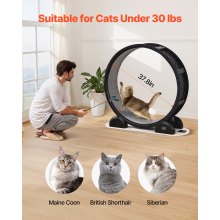 VEVOR Cat Exercise Wheel with Pedometer 40.8" Cat Treadmill for Pet Health Black