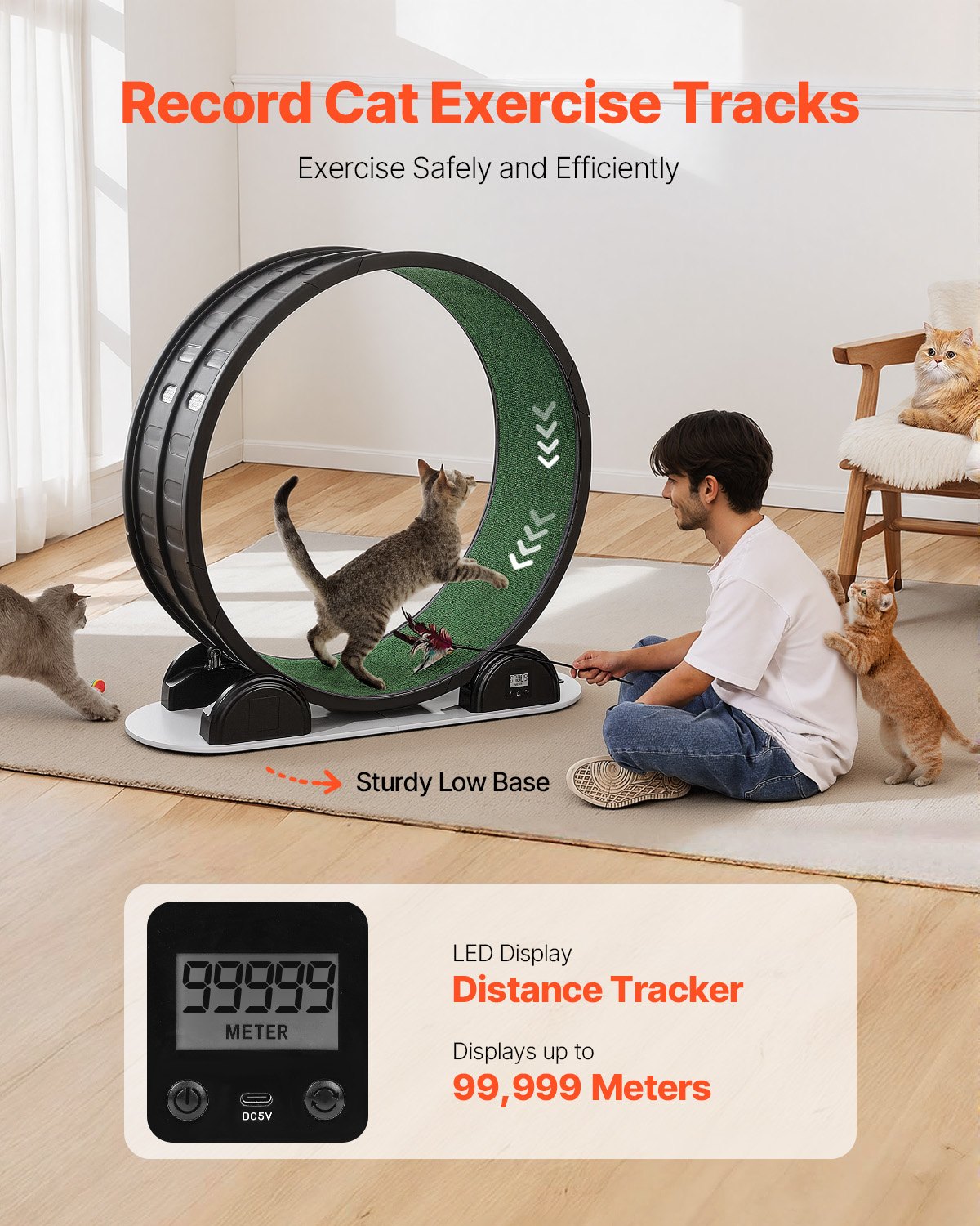 VEVOR Cat Exercise Wheel with Pedometer, 40.8 in, Cat Running Wheel with Brake & Carpeted Runway, Quiet Cat Treadmill for Indoor Cats Under 30lbs, Cat Exerciser for Pets Health & Fitness Black