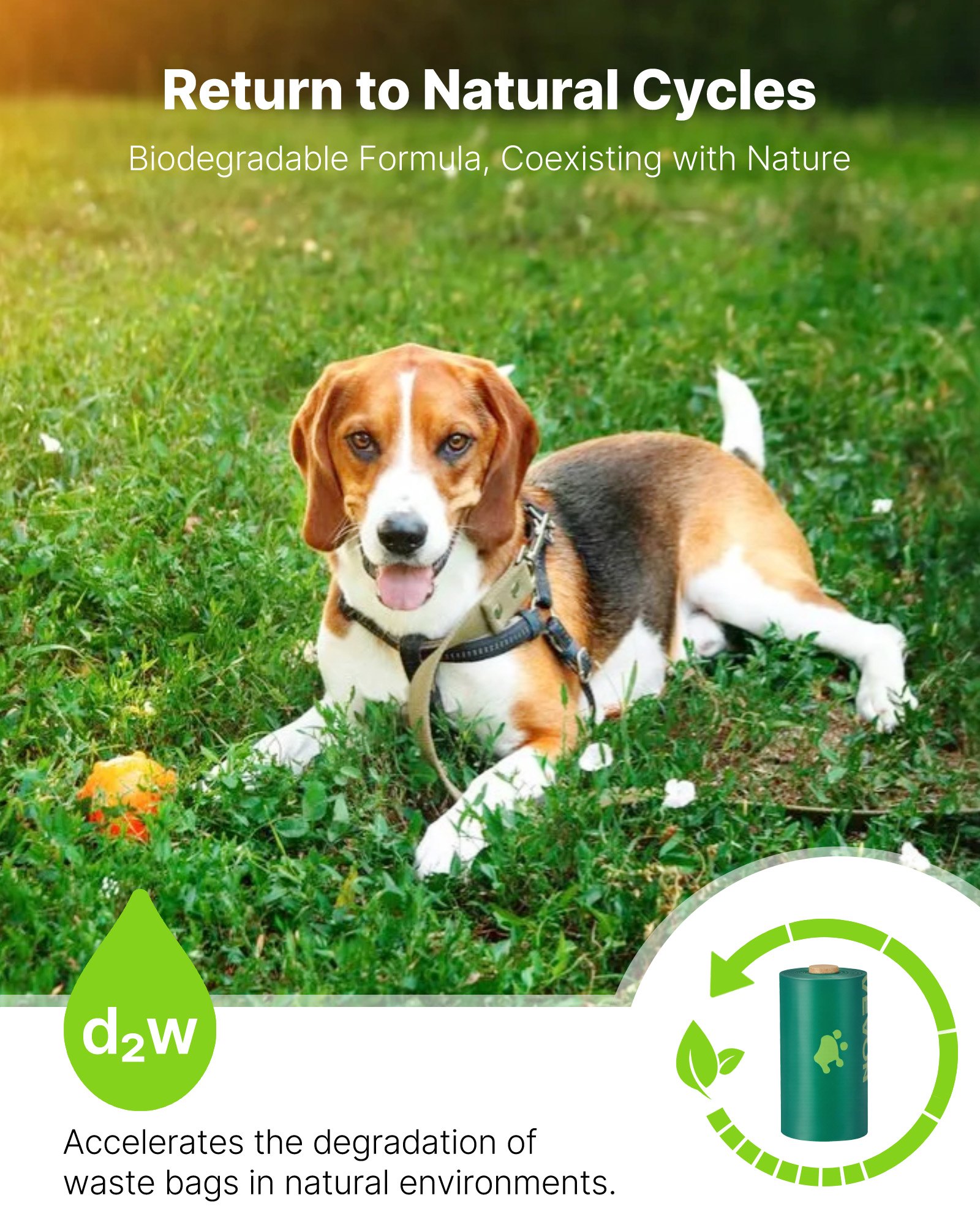 VEVOR Dog Poop Bags, 270 Counts 13 x 9 in, Sturdy & Thick Pet Waste Bags, Biodegradable HDPE Waste Bag Refill Rolls, Lavender Scented, Leak-Proof Trash Bag for Doggie Cat Pet, Dispenser Not Included