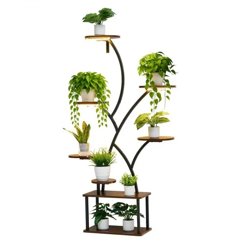 potted spider plant Spider Plant Wire Vine Combo Pot