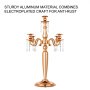 5 Arm Candelabra Curved Arms 24 Inch Height Metal Candelabra Up-to-date Styling