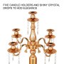 5 Arm Candelabra Curved Arms 24 Inch Height Metal Candelabra Up-to-date Styling