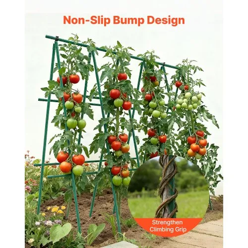 exotic plant seeds Order Exotic Animal cannabis seeds from Exotic Seeds  House of Seeds