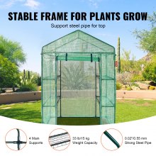 VEVOR Walk-in Green House, 4.6 x 2.4 x  6.7 ft  Greenhouse with Shelves, Set Up in Minutes, High Strength PE Cover with Doors & Windows and Steel Frame, Suitable for Planting and Storage, Green