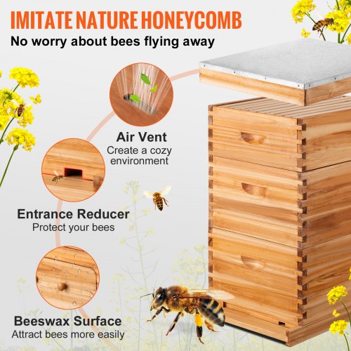 VEVOR Beehive Box Kit Bee Honey Hive 30 Frames 2 Deep 1 Medium Natural ...