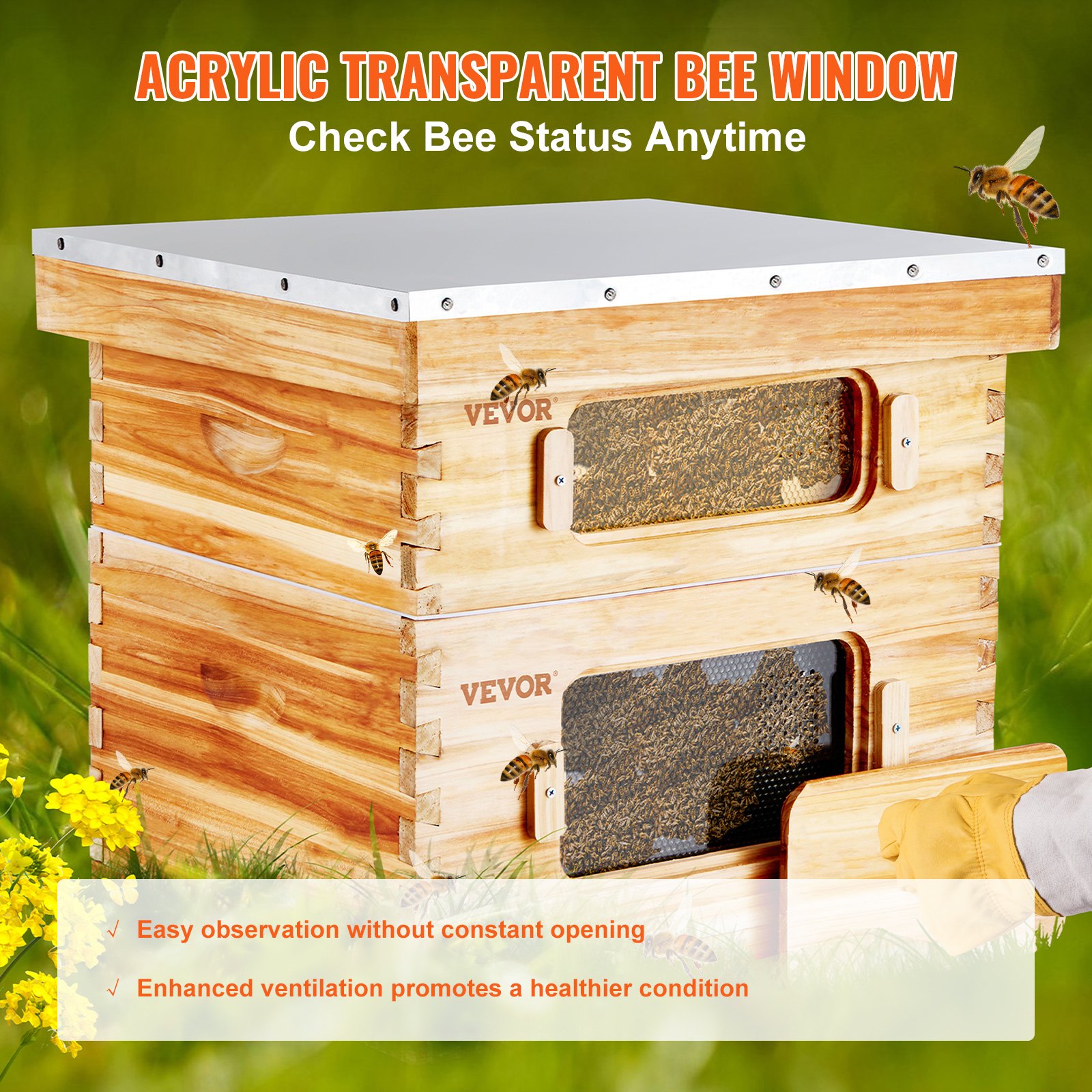 Window Beekeeping VEVOR Bee Hive 20 Frame Bee Hives Starter Kit, Beeswax Coated Cedar ...