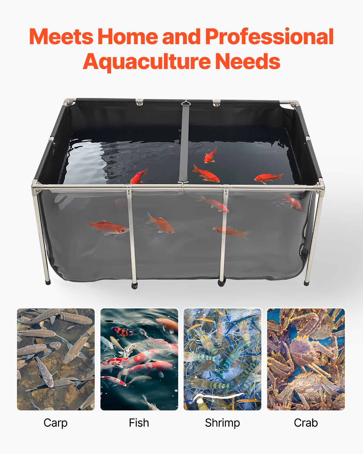 Illustration of Quiet And Efficient Gldfish Aquarium Drain Systems