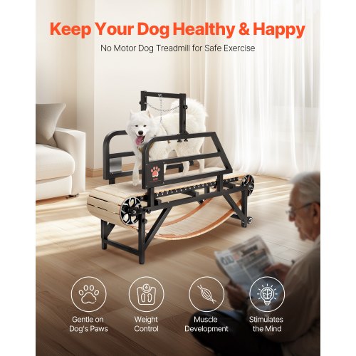 VEVOR Dog Treadmill for Medium Dogs – 330lbs, 15.5