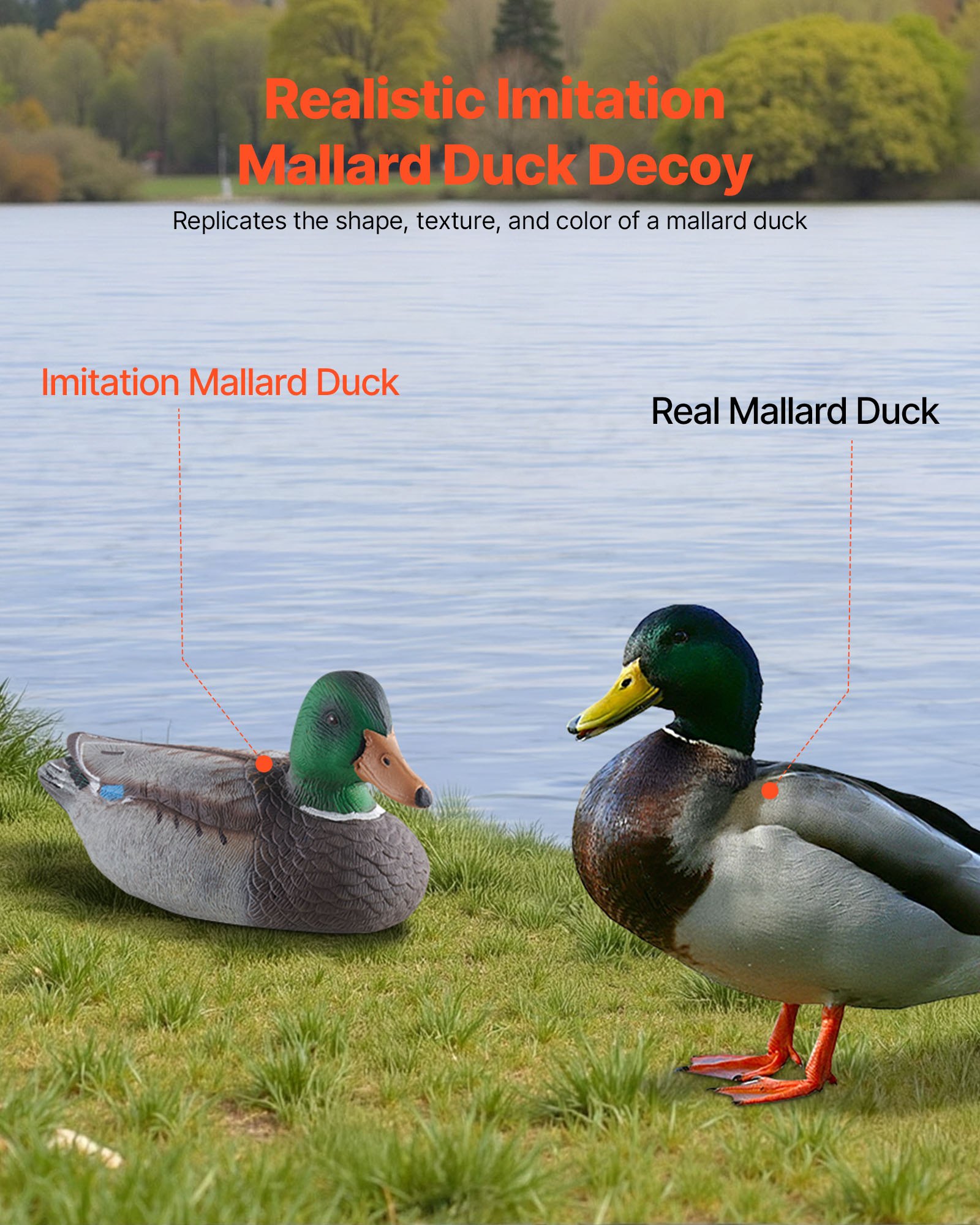 Simple Decoy VEVOR Plastic Duck Decoys – 6-Pack Realistic Floating Set