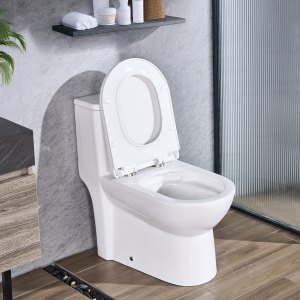 12 Inch Rough In VEVOR 12 Inch Rough In Toilets – 1.1/1.6 GPF, 16