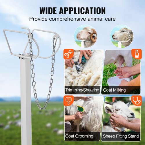 VEVOR Goat & Sheep Stand, 51x23 inch Livestock Stand, Metal