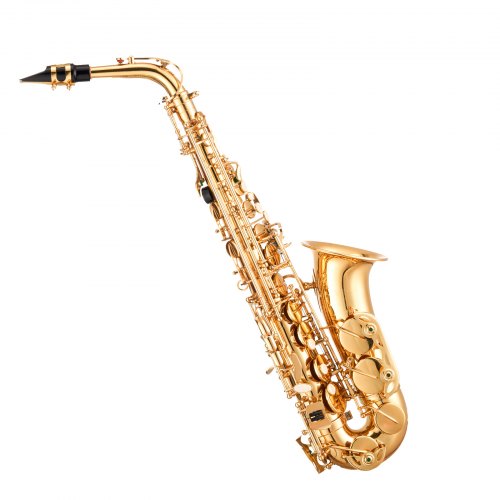 Gold Brass Alto Saxophone Eb E Flat Sax Beginner Kit with