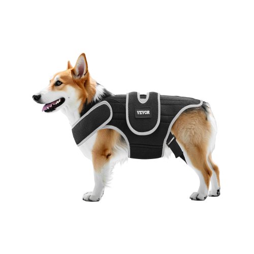 VEVOR Dog Back Brace IVDD – 6 Metal Springs, Neoprene, 0.88 lb