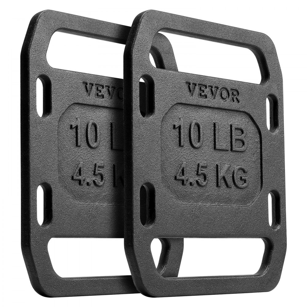 VEVOR Weight Plates For Rucking - 10LB Cast Iron Pair